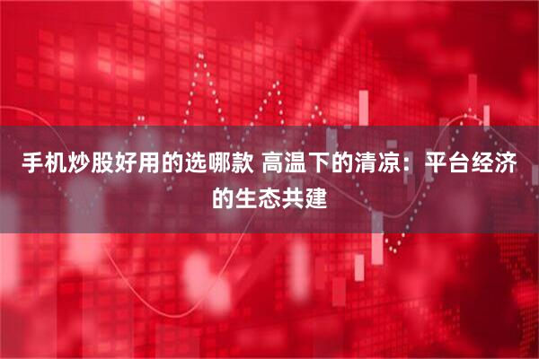 手机炒股好用的选哪款 高温下的清凉：平台经济的生态共建