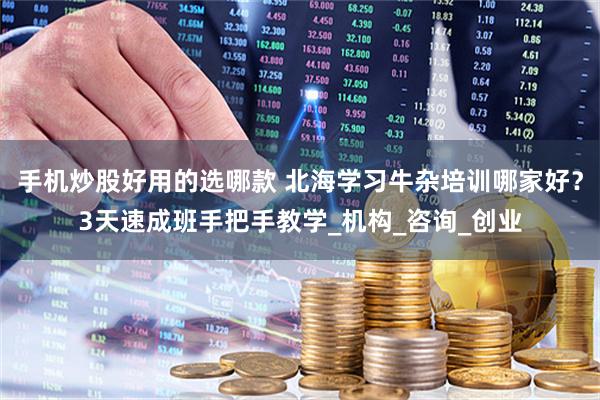手机炒股好用的选哪款 北海学习牛杂培训哪家好？3天速成班手把手教学_机构_咨询_创业