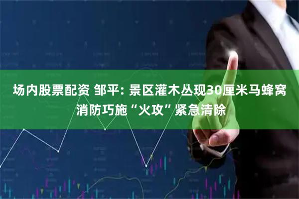 场内股票配资 邹平: 景区灌木丛现30厘米马蜂窝 消防巧施“火攻”紧急清除